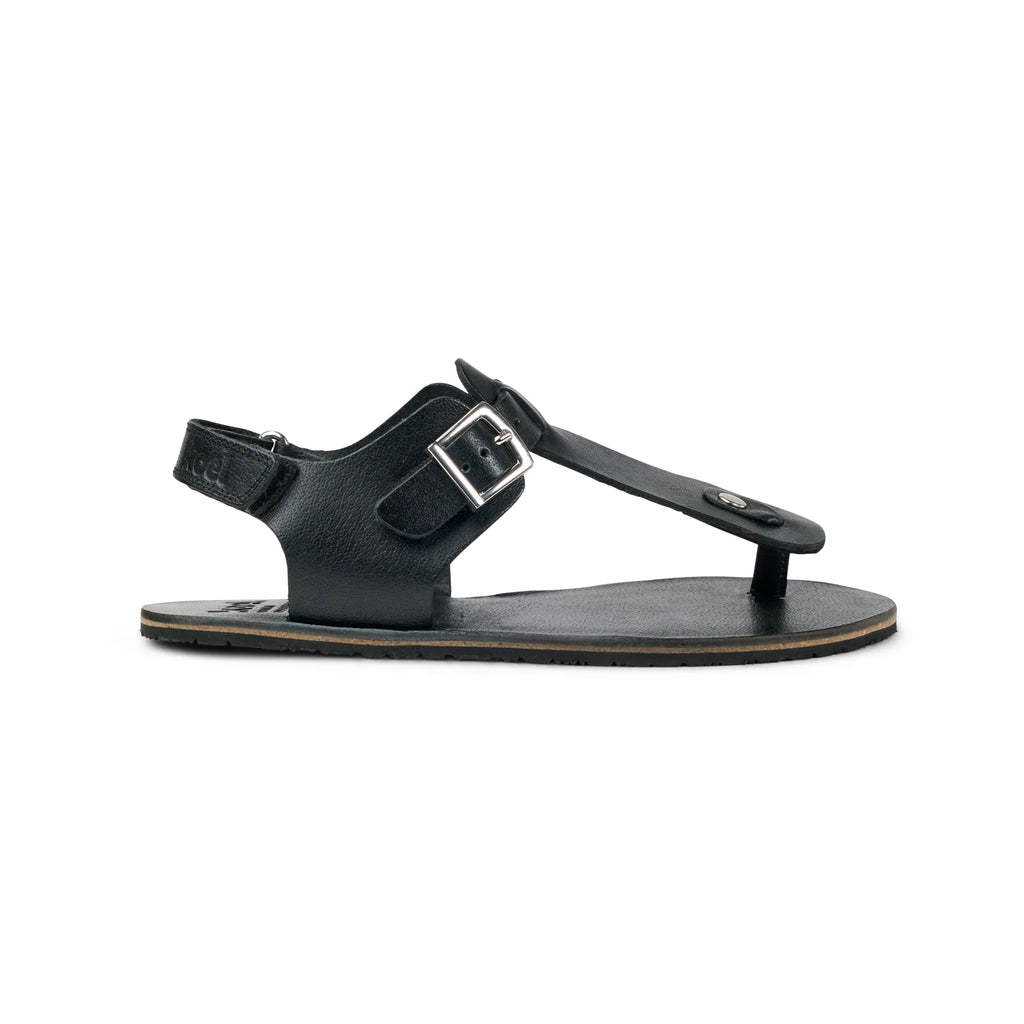 ARIATA Napa - Black