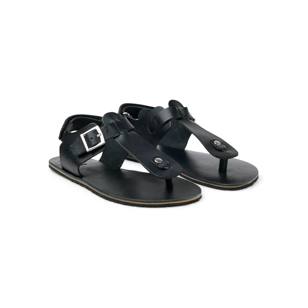 ARIATA Napa - Black