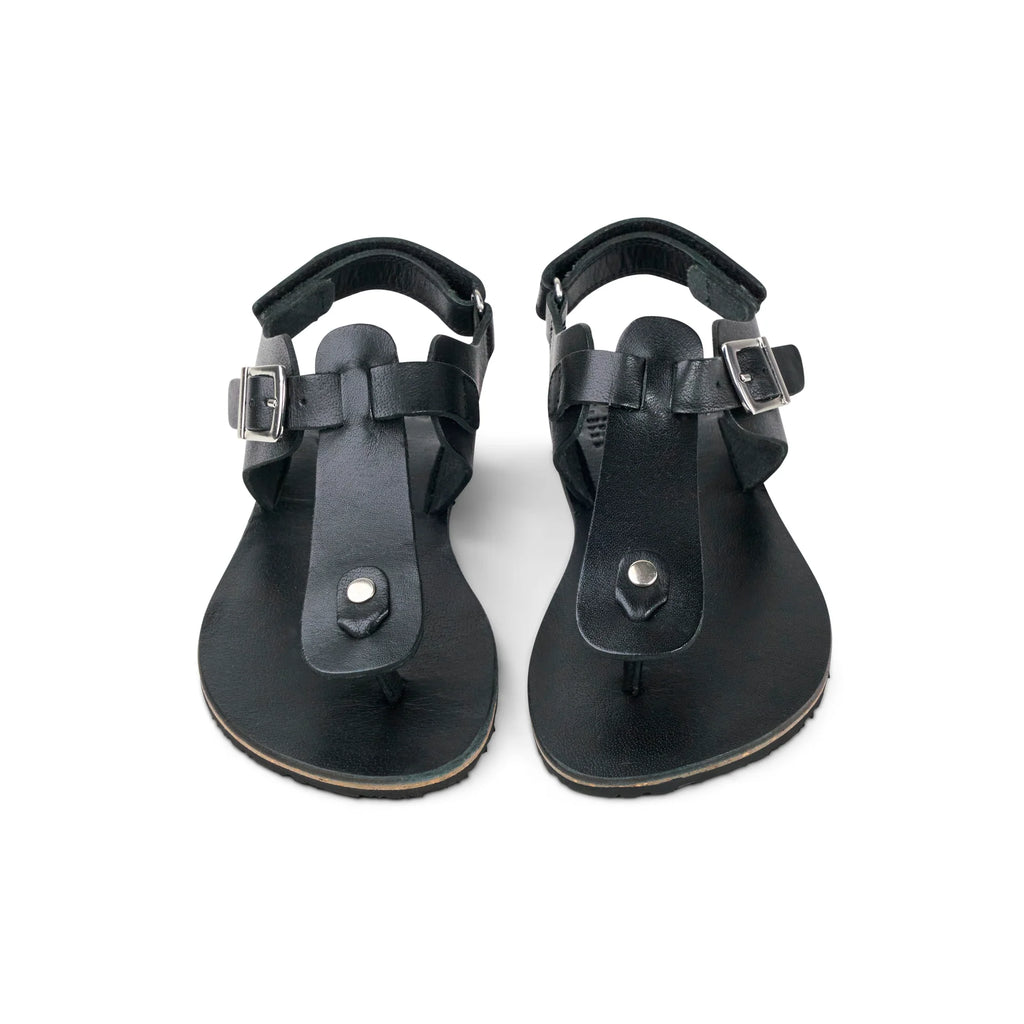 ARIATA Napa - Black