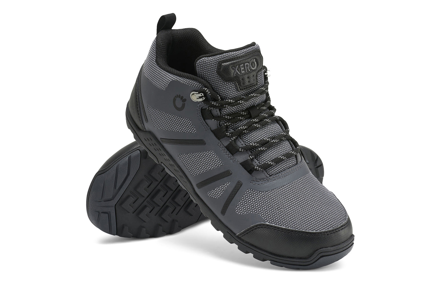 DayLite Hiker Fusion