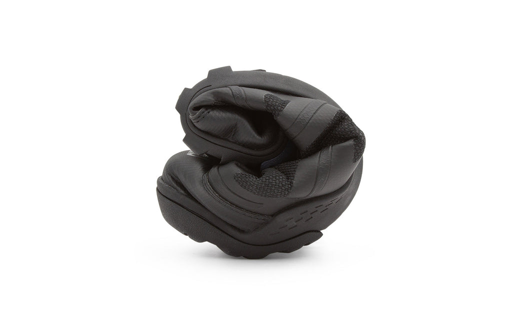 DayLite Hiker Fusion