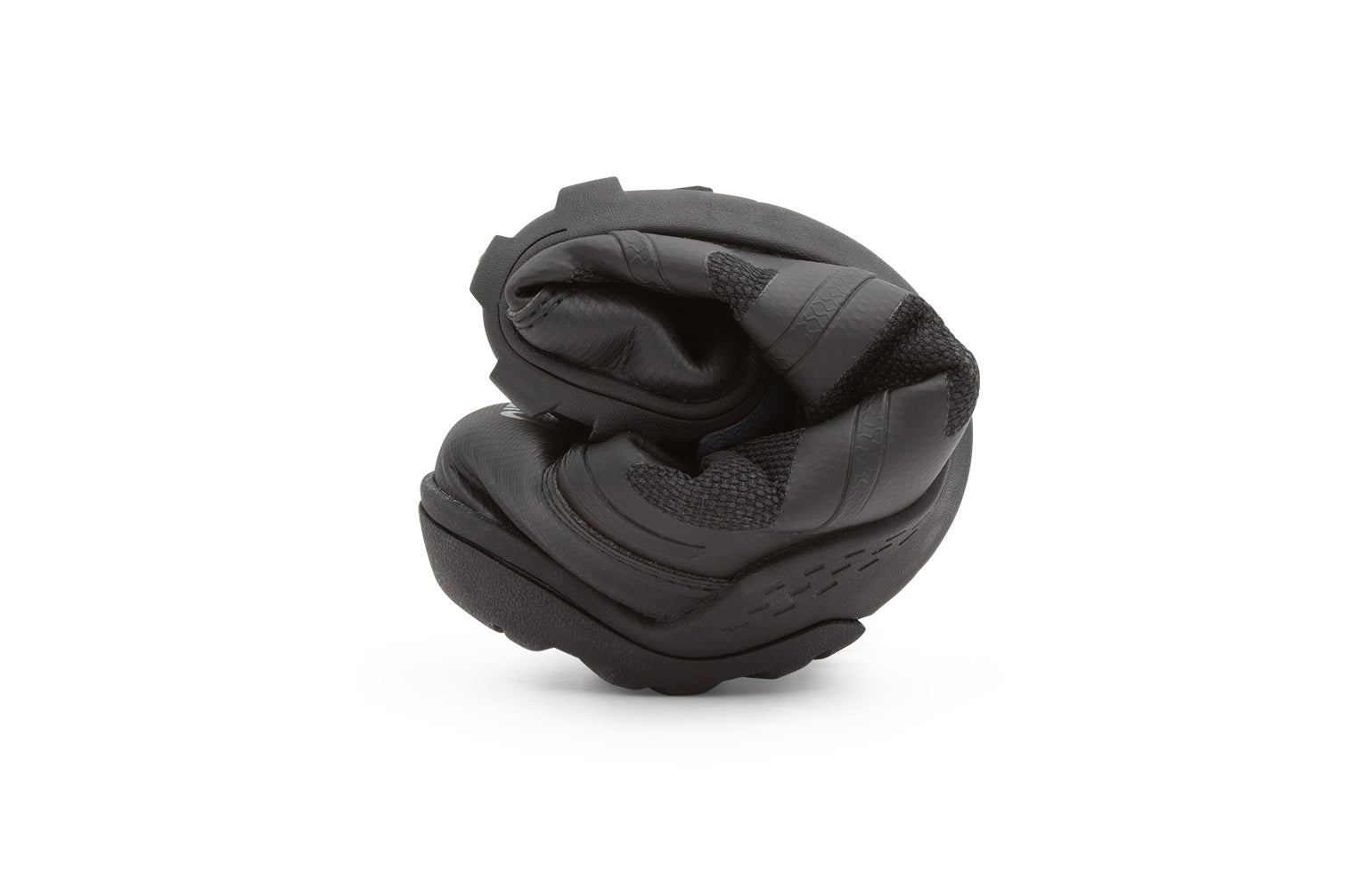 DayLite Hiker Fusion